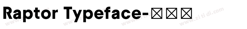 Raptor Typeface字体转换 Raptor Typeface字体转换
